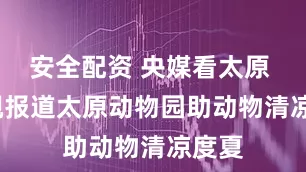 安全配资 央媒看太原 | 央视报道太原动物园助动物清凉度夏