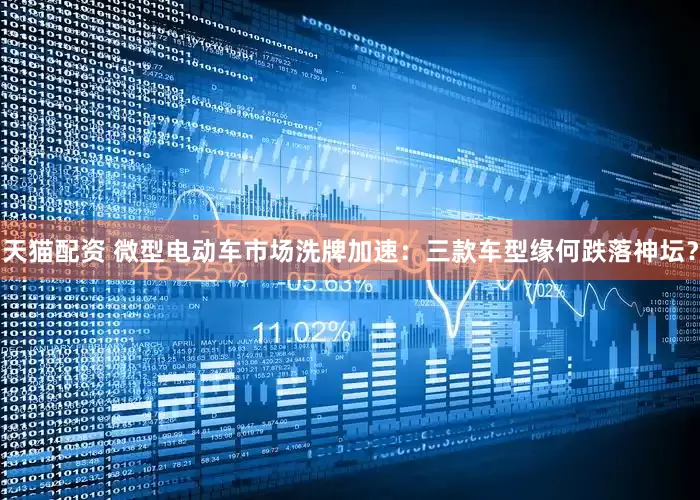 天猫配资 微型电动车市场洗牌加速：三款车型缘何跌落神坛？